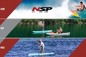 A NSP apresenta uma vasta gama que serve todos os requisitos.