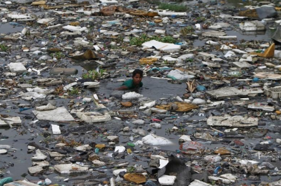 A boy searches for fish in the polluted sea backwaters near marina beach in the southern Indian city of Chennai July 3, 2013. REUTERS/Babu/File Photo