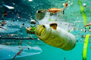 Surfistas doentes após fazerem surf na zona de Esposende