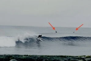 Sessão de Surf com orcas ! E tu ficarias no pico?