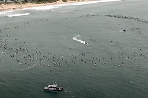Milhares de surfistas fazem uma homenagem potente a Mercury Psillakis