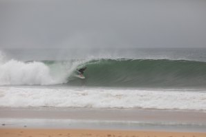 Let&#039;s go José Maria Ribeiro!