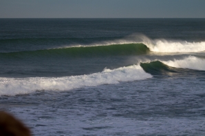 ERICEIRA - REEF