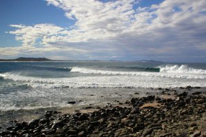 Visita inesperada no point-break de Crescent Head.