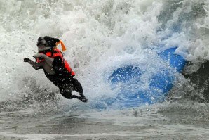 O &quot;LADO NEGRO&quot; DE UM CÃO SURFISTA