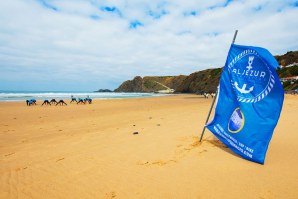 TREINADOR DE SURF PRECISA-SE PARA A ARRIFANA