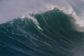 LOBOS DO MAR NO NAZARÉ CHALLENGE