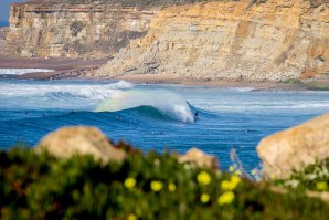 A Reserva Mundial da Ericeira em análise.