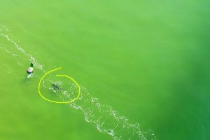 A imagem que podes ver a partir do minuto 2 (no vídeo).