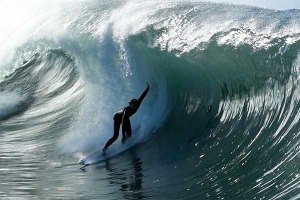 Harry Bryant em 'Hazmania'