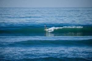Campeões Mundiais WSL decidos hoje