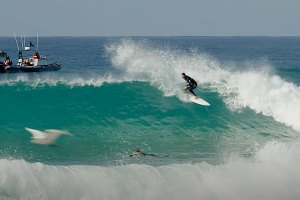 Tubos, golfinhos e power surfing: O ultimo free surf em J-Bay antes do CT