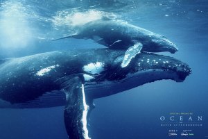 Uma carta de amor e alarme pelos oceanos: estreia “Ocean” nos cinemas