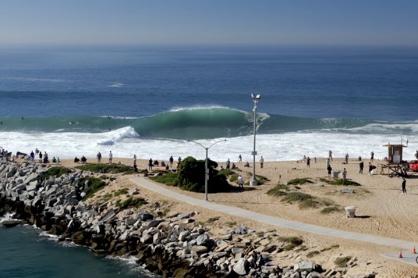 The Wedge acordou em modo caos com a primeira grande ondulação sul do ano