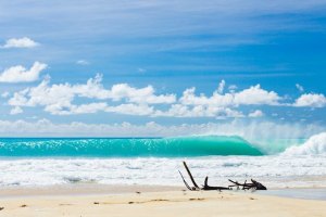 A ilha Barbuda, nas Caraíbas, está sob ameaça - entende porquê