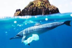 Pelo menos oito milhões de toneladas de plásticos vão parar aos oceanos todos os anos.