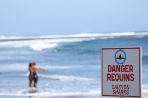 O surf está &#039;parado&#039; em Reunião