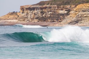 Reef - Click por Henrique Casinhas