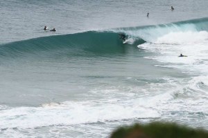 Jovens atletas vão ser distinguidos no próximo sábado.