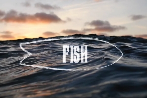 Um documentário sobre as pranchas ‘fish’