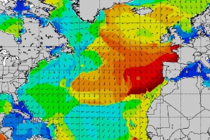 SURF REPORT: A SEMANA EM ONDAS