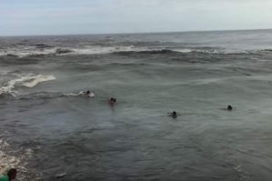 SURFISTAS BRASILEIROS SALVAM TRIPULANTES DE UMA CANOA