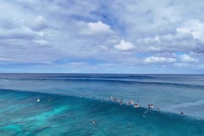 Um horizonte cheio de ondas em Pipeline, com Caio Ibelli, Lucas Godfrey, Nalu Deodato, entre outros