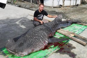 Darrell Blatchley junto ao animal que autopsiou nas Filipinas. 