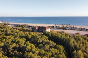 A Mata da Quinta dos Ingleses continua a precisar da tua ajuda! Assina a petição