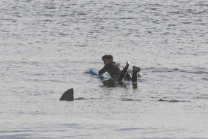 SURFISTA AMERICANO ESCAPA A UM ATAQUE DE TUBARÃO