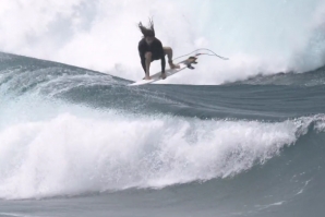 Matt Meola faz aéreo inédito