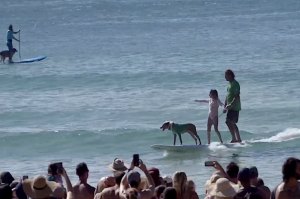 E agora, algo completamente diferente!