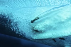 "Quando eu tiver 100 anos, ninguém vai distinguir se é um rapaz de 20 ou 40 anos de idade ali a surfar" - Glen Horn