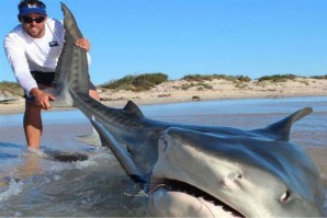 DOIS PESCADORES AUSTRALIANOS RETIRARAM TUBARÕES DO MAR PARA SACAR FOTOS