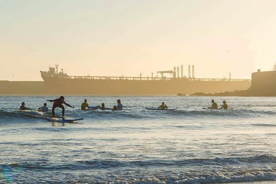 Um crime ambiental pode estar prestes a ter lugar em Matosinhos.