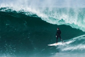 &#039;WEST OZ&#039; É DEFINITIVAMENTE O MELHOR