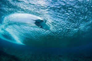 ÍCONES DO SURF JÁ TREINAM NAS MALDIVAS