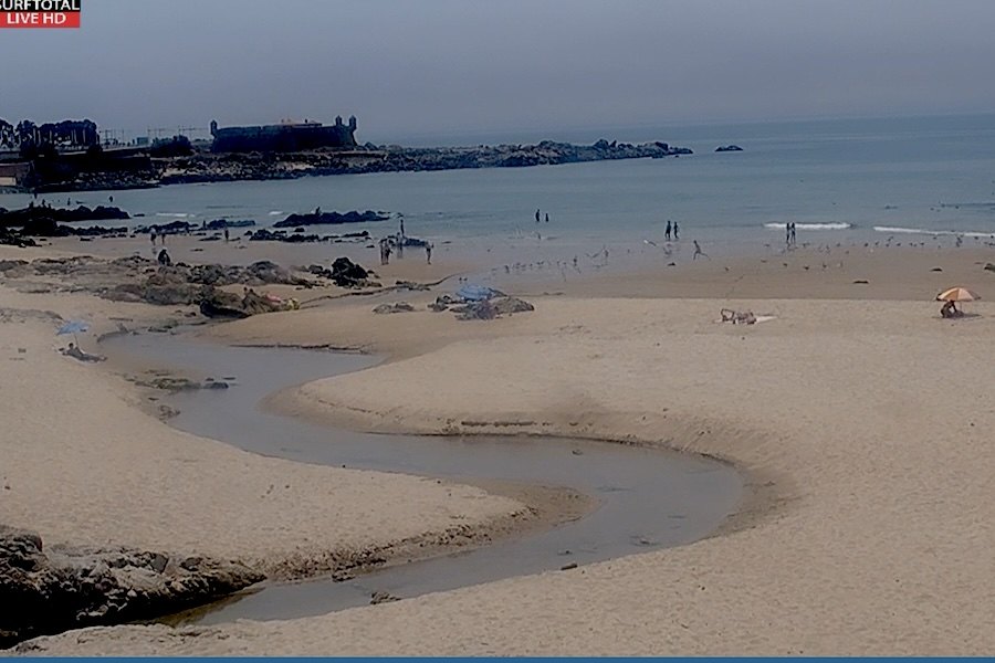 Matosinhos prepara instalação de exutor submarino para reduzir impacto da Ribeira da Riguinha na zona balnear