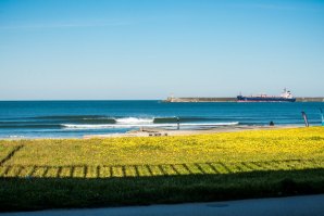 Ondas pequenas mas perfeitas na Baía da Praia Internacional do Porto