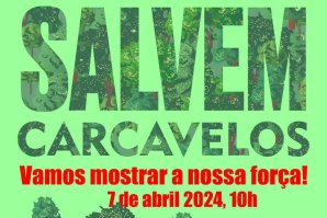 &quot;Momento crítico&quot; na Quinta dos Ingleses - SOS Quinta dos Ingleses convoca última manifestação para travar &quot;ecocídio&quot;