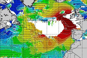 A BESTA a caminho da Nazaré ... ?