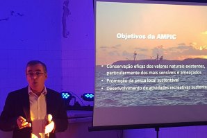 Proteção de recife natural em discussão no Algarve