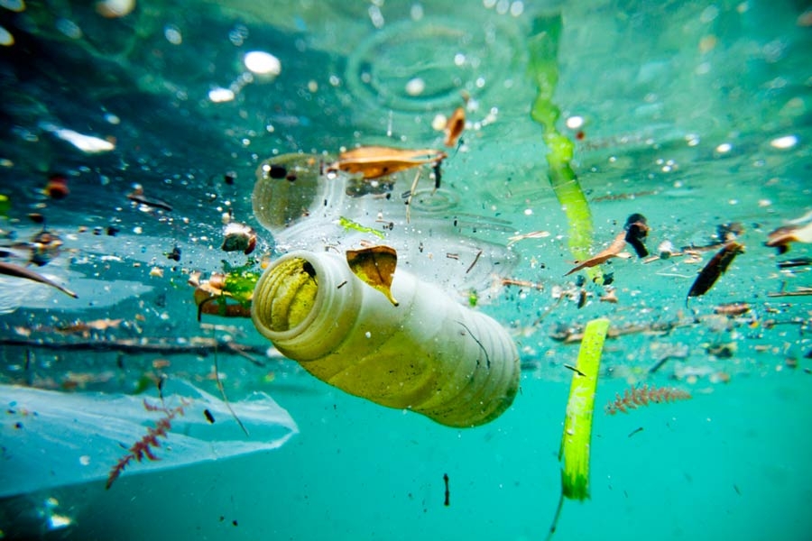 A poluição nos Oceanos de derivados do petróleo é gritante.