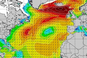 SURF REPORT 20 E 21 DE FEVEREIRO