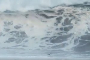 Os pesadelos são feitos disto