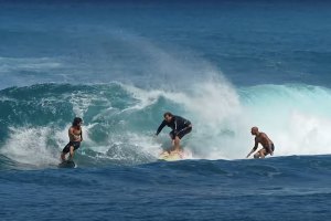 Slater, familia Ho e Baby Bear - Família, Amigos e Boas Ondas em V Land