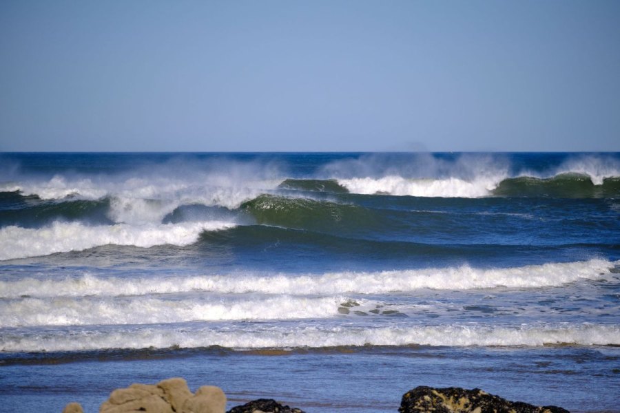 Go Chill Porto Pro já arrancou em Leça da Palmeira