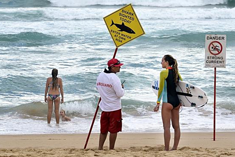 O nadador salvador Ben Chalmers explica a situação à surfista profissional Justine Dupont