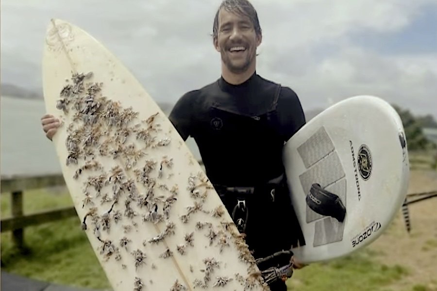 Prancha de Surf perdida na Tasmânia reaparece na Nova Zelândia 18 meses depois Prancha de Surf perdida na Tasmânia reaparece na Nova Zelândia 18 meses depois