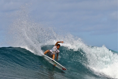 VASCO RIBEIRO, &quot;DAS MENTAWAI&quot; PARA O BRASIL